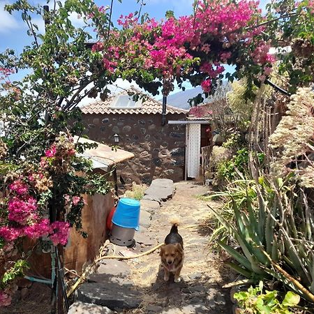 Abracaribes Bed and Breakfast Arecida Exteriör bild