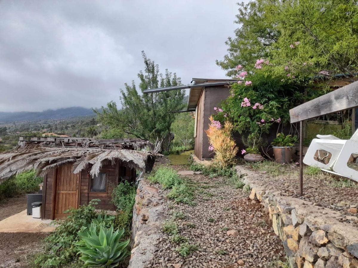 Abracaribes Bed and Breakfast Arecida Exteriör bild