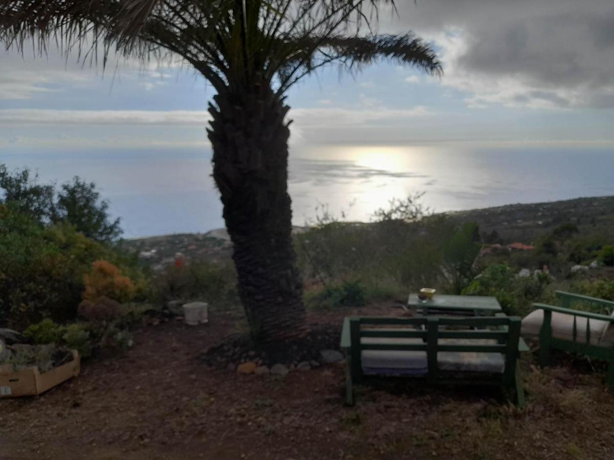 Abracaribes Bed and Breakfast Arecida Exteriör bild