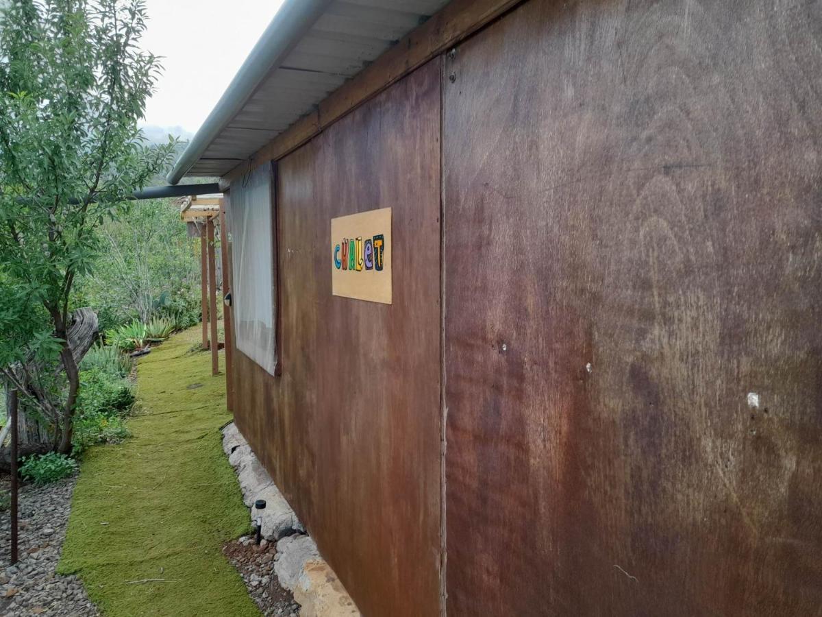 Abracaribes Bed and Breakfast Arecida Exteriör bild
