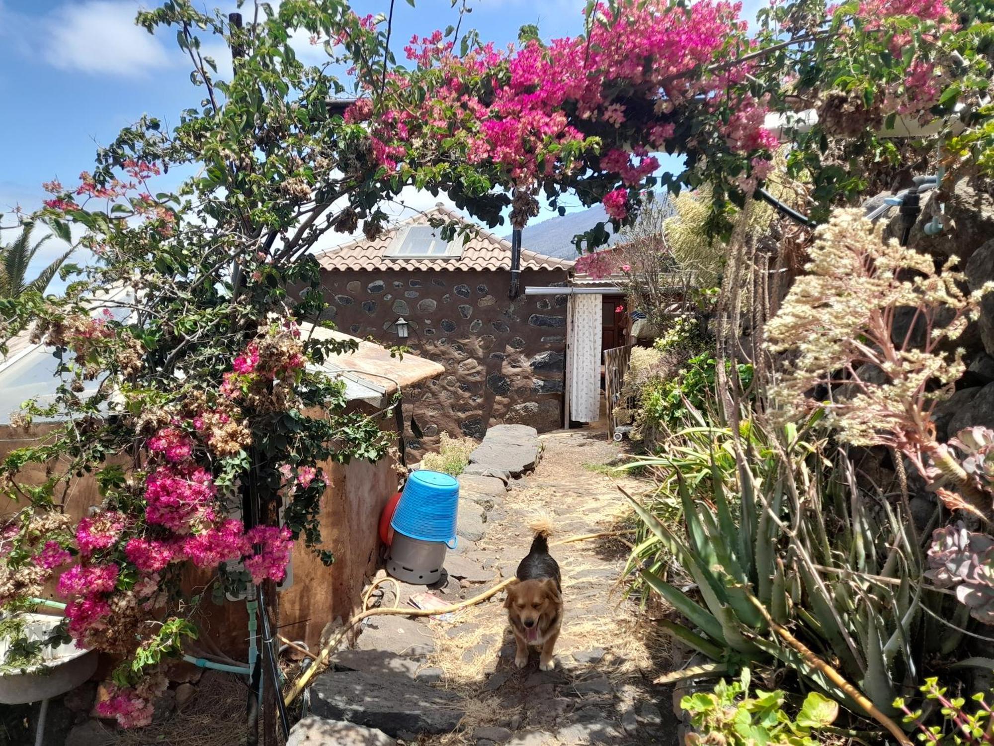 Abracaribes Bed and Breakfast Arecida Exteriör bild