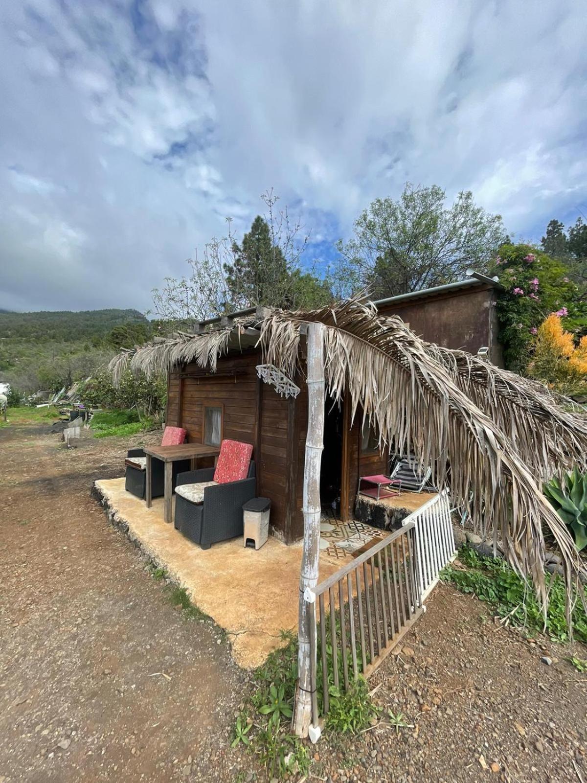 Abracaribes Bed and Breakfast Arecida Exteriör bild