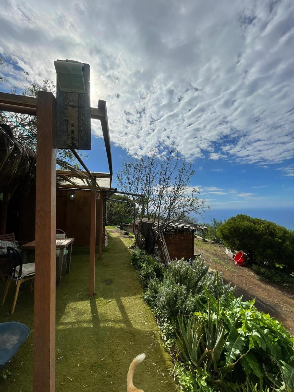 Abracaribes Bed and Breakfast Arecida Exteriör bild
