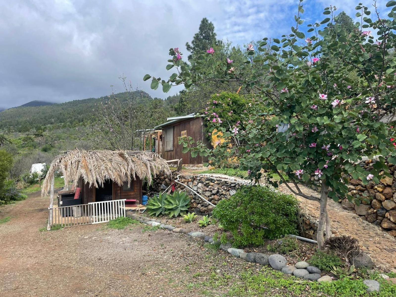 Abracaribes Bed and Breakfast Arecida Exteriör bild