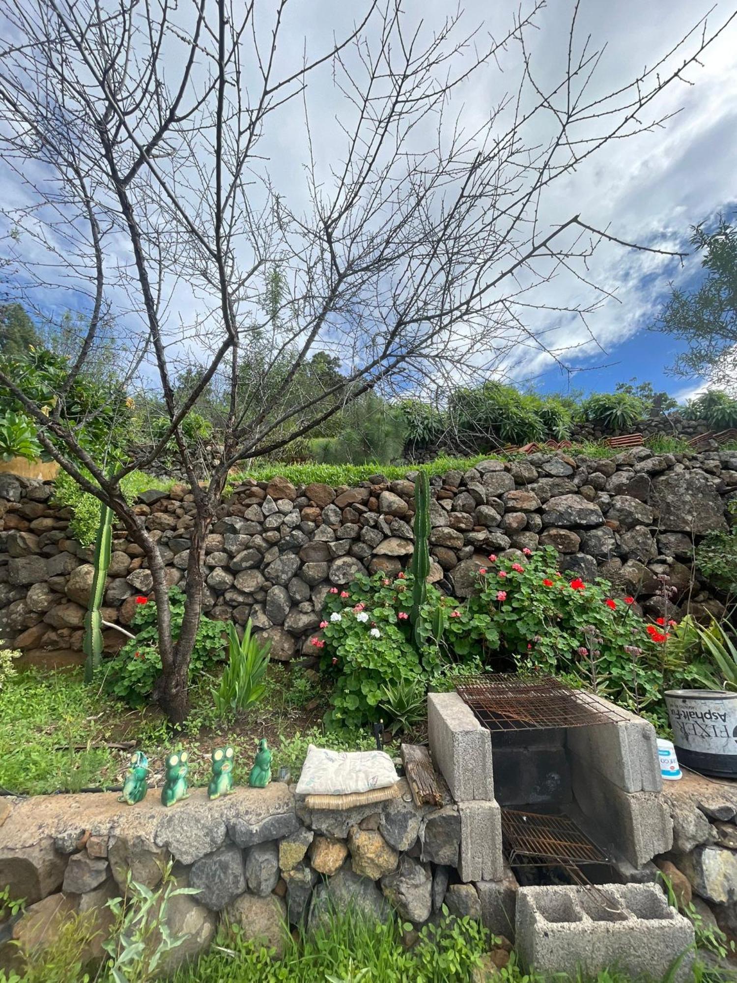 Abracaribes Bed and Breakfast Arecida Exteriör bild