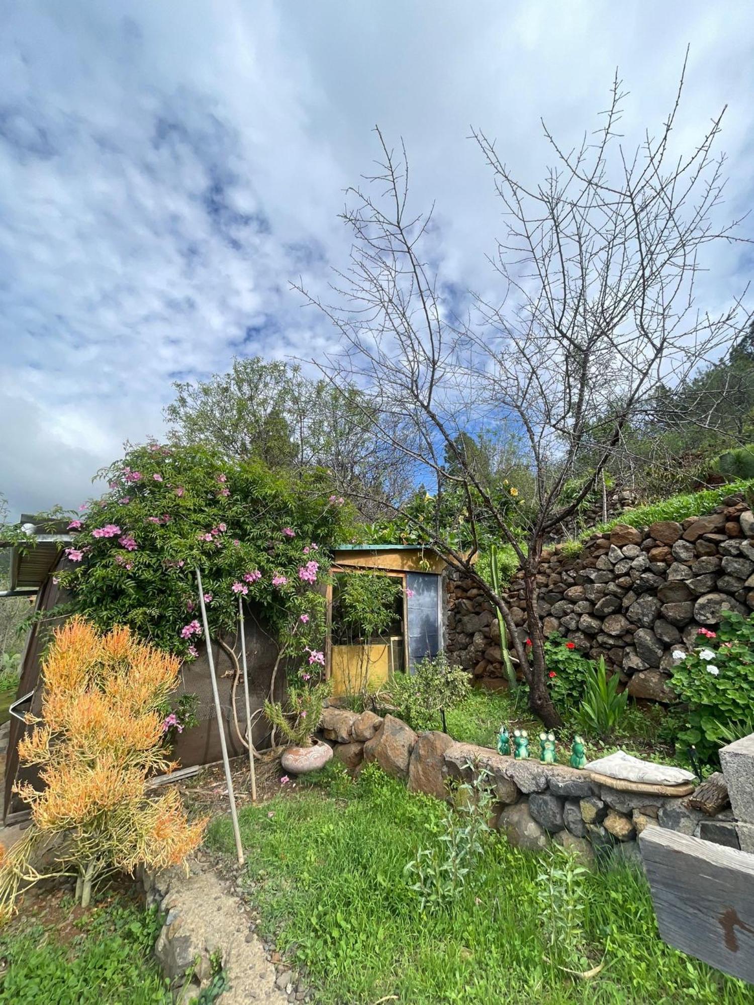 Abracaribes Bed and Breakfast Arecida Exteriör bild