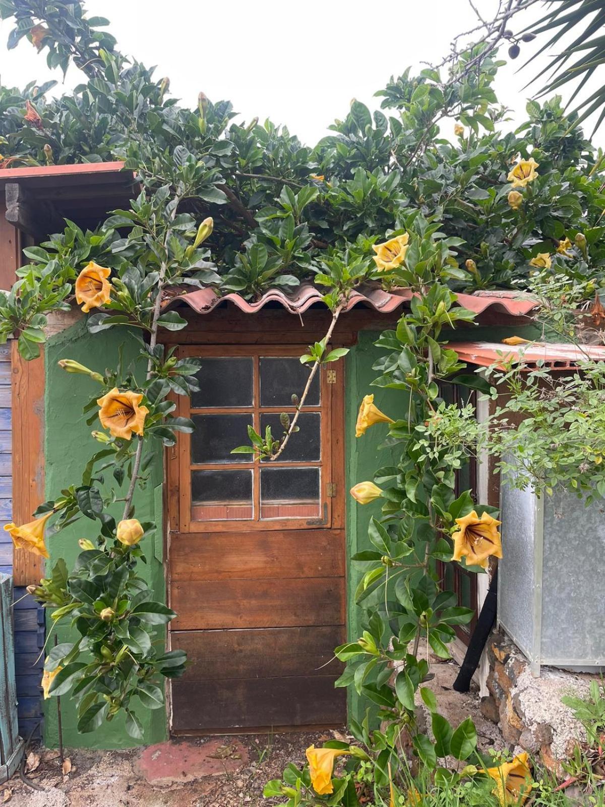 Abracaribes Bed and Breakfast Arecida Exteriör bild