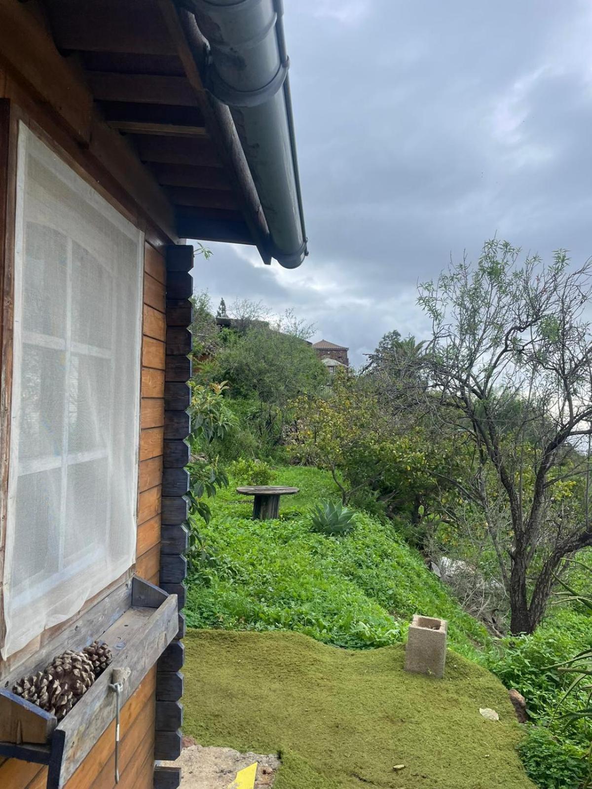 Abracaribes Bed and Breakfast Arecida Exteriör bild